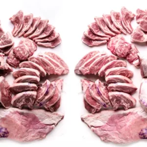 cropped whole lambcover.webp